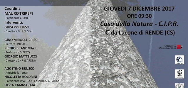 Parco Nazionale della Sila, adesioni a sostegno candidatura a Patrimonio Unesco