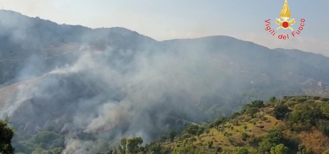 A Catanzaro un vasto incendio vicino al Parco della Biodiversità ( Foto e Video)