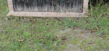 Parco Paradiso di Via Miraglia, Fare per Catanzaro: incuria e abbandono