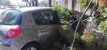 Rami spezzati a Lido finiscono su un'auto