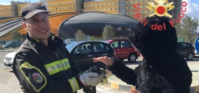 Colombo ferito salvato dai vigili del fuoco al campus di Germaneto