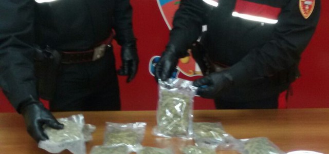 Marijuana in casa, 18enne arrestato per detenzione ai fini di spaccio