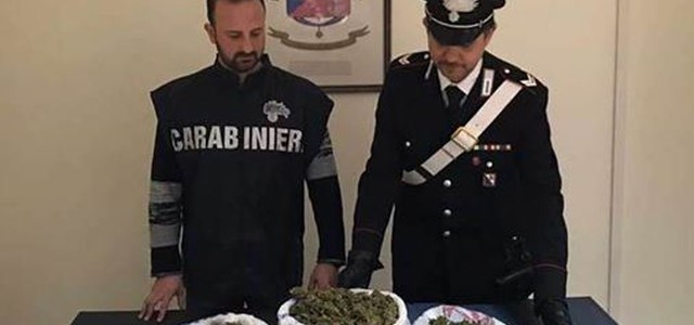 Marijuana, hashish e cocaina: arrestati padre e figlio nel Catanzarese