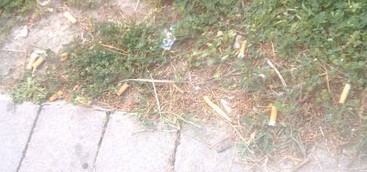 Apicella (Comitato Insieme per Schiavonea):“Area giochi del borgo marinaro nel degrado più assoluto"