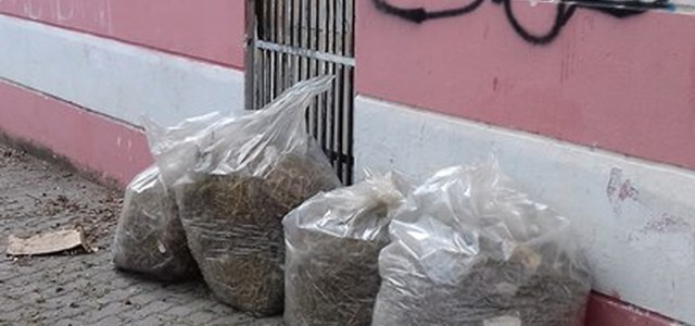 Ottimo successo per l'iniziativa “Let's Clean Up Europe”: tutti in piazza ad Arghillà