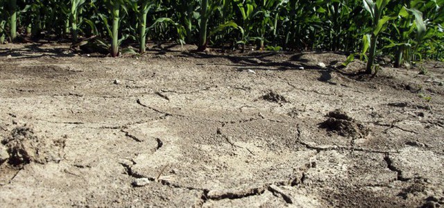 Siccità: Consorzi Bonifica, emergenza vera è al Centronord