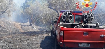 Incendio di arbusti e macchia mediterranea  Catanzaro Loc. Siano.