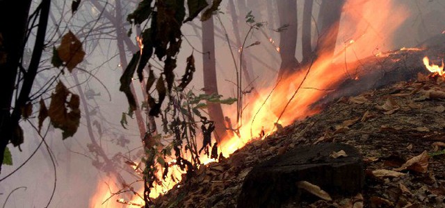 Incendi: in paese del cosentino ronde contro nuovi roghi