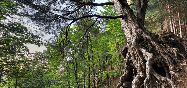 Il “Fondo nazionale integrativo per la montagna” stanzia 20 milioni per combattere lo spopolamento 