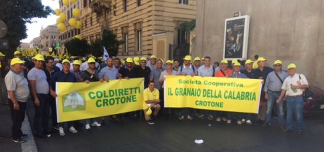 Coldiretti, trebbiatura del grano al via in una stagione tra luci e ombre