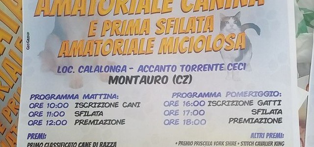 Domenica la sfilata amatoriale canina e miciolosa