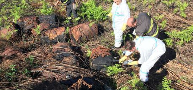 Trovati 25 bidoni nascosti dalla fitta vegetazione