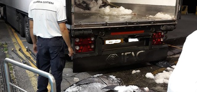 Sequestrate 10 tonnellate di tonno rosso