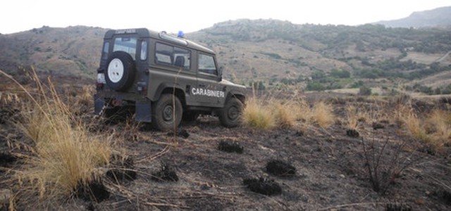 Incendio Parco Aspromonte, una denuncia