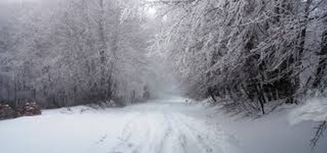 Capodanno di neve in Calabria, da ieri sera i primi fiocchi sulla Sila catanzarese.
