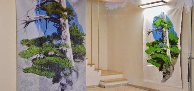 L’artista Mery Rigo omaggia il pino di 1230 anni del parco del Pollino