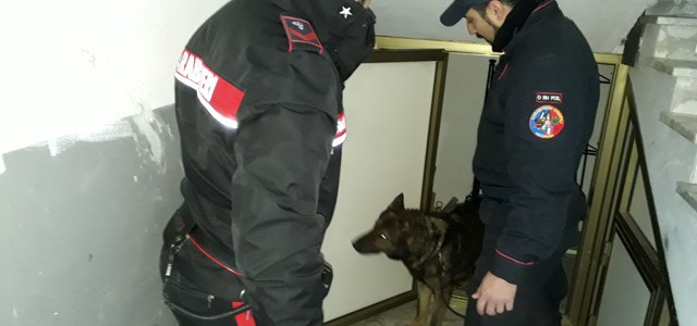 Carabinieri, controlli in una palazzina: un arresto (VIDEO)