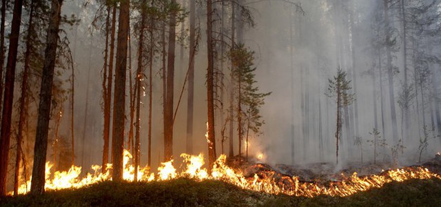 Caldo record e incendi in Scandinavia, 33 gradi al Polo