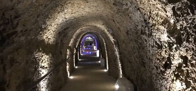 Oltre 600 visite per la mostra “Cyclocosmia - under the ground”