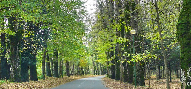 Presentazione Guida Turistica “Dal mare al parco delle Serre – Natura Arte Tradizione”
