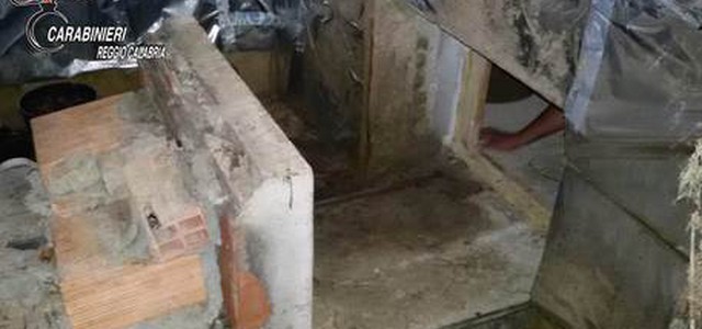 Bunker adibito a serra droga nel reggino