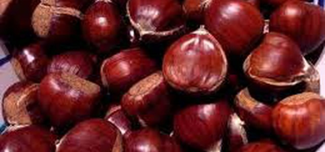 Terra Madre Day il 1 dicembre a Serrastretta tra castagne, natura e tradizione