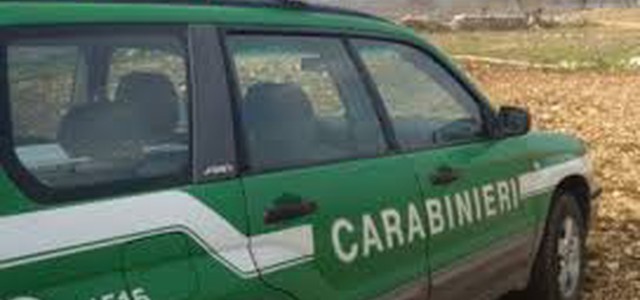 SCOPERTO UN ALTRO CAPANNONE ABUSIVO A ISOLA CAPO RIZZUTO