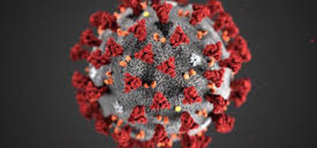 CORONAVIRUS. BOLLETTINO DELLA REGIONE CALABRIA