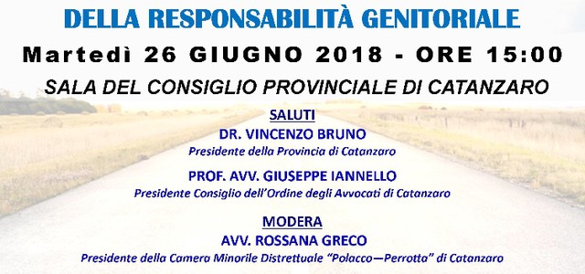 Seminario Camera minorile distrettuale