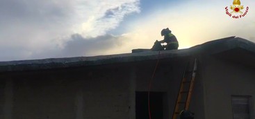 Maltempo, ancora interventi dei vigili del fuoco a Catanzaro: abbattuto albero pericolante