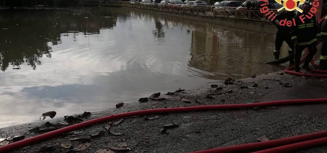 Maltempo a Soverato, allagamenti: intervengono vigili del fuoco