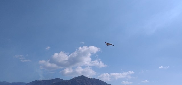 Oltre cento incendi al giorno. Calabria Verde si appella alla collaborazione dei cittadini: chiamate i numeri utili