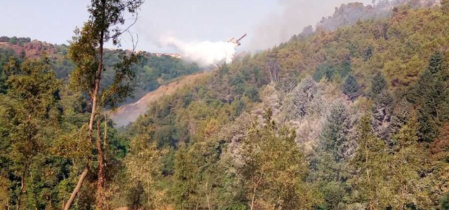 Ancora incendi nella provincia di Vibo