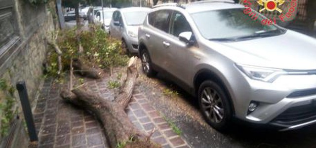 Maltempo, migliorano condizioni meteo: conta dei danni (VIDEO)
