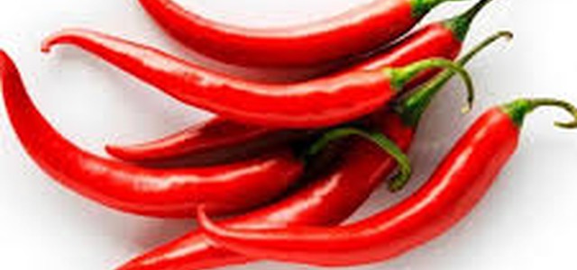 Il Peperoncino calabrese a San Remo