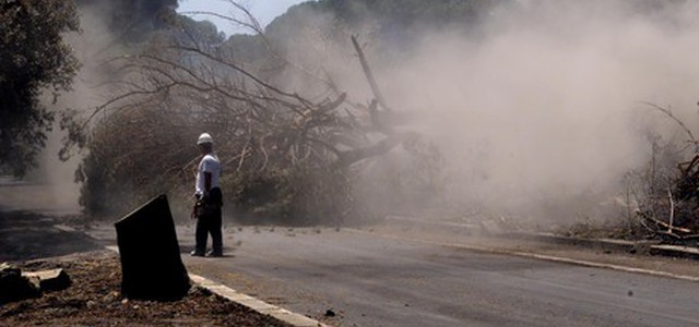 Litiga con il vicino e gli incendia il giardino