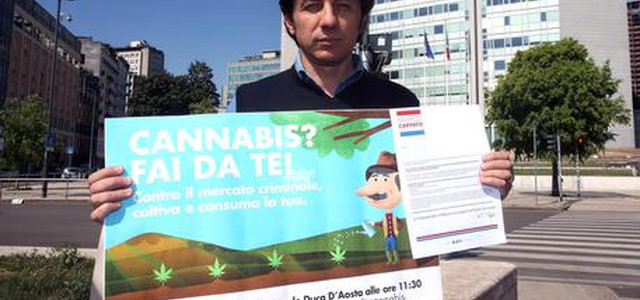 Cappato mette online semi di cannabis