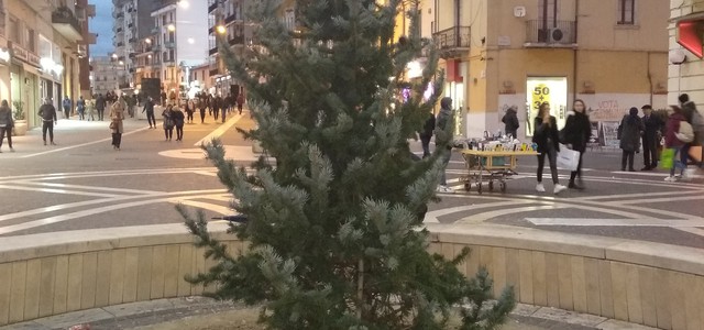 "Un albero per Cesare” alberi in memoria di magistrato