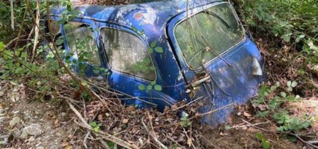 Dieci carcasse di auto abbandonate nel Pollino