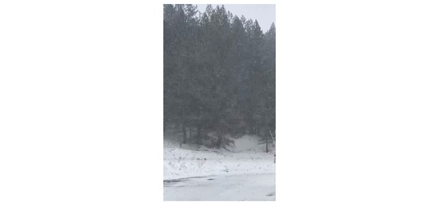 Torna la neve in Calabria, imbiancate Sila e Pollino (VIDEO)