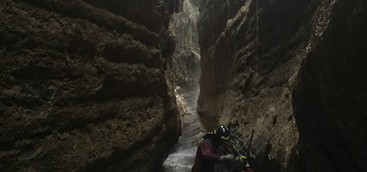 Vigili del fuoco salvano cane da caccia