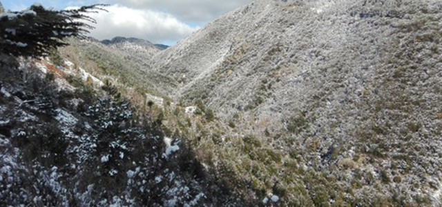 Piogge in Calabria, neve sui rilievi