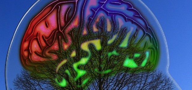 Operato al cervello per un tumore mentre suona il clarinetto