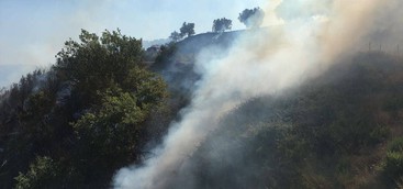 Incendi a Catanzaro e provincia, vigili del fuoco al lavoro
