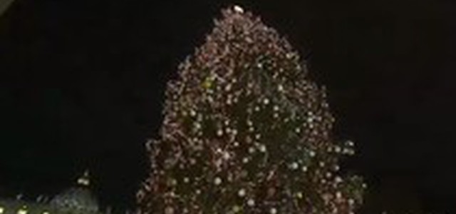 Si accendono l'albero e il presepe in piazza San Pietro