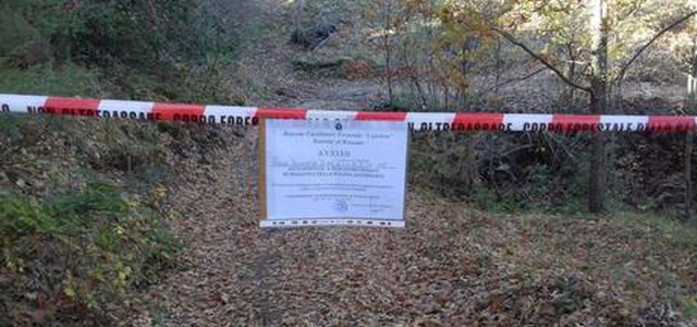 Irregolarità in taglio bosco, sequestro