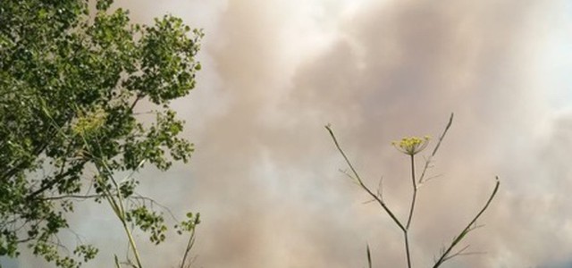 Incendi: diversi i roghi di questi giorni (Foto)