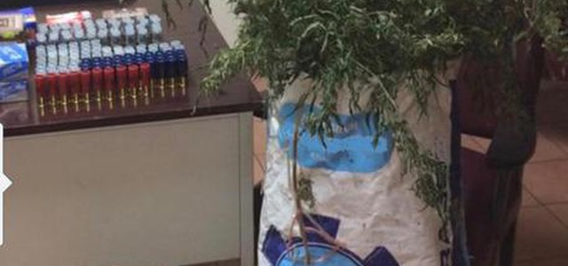 Cartucce e 4,5 chili di marijuana sequestrate dai carabinieri
