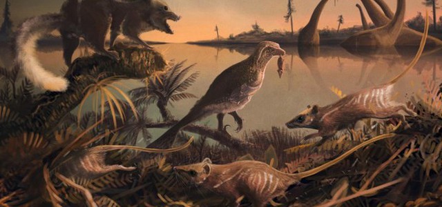 Scoperti i più antichi fossili di mammifero