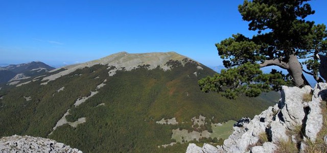 Bando di 140mila euro per il progetto "Un weekend nei parchi"